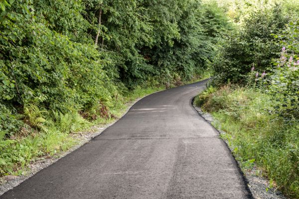 Asphalt Driveway Replacement in Elk Grove